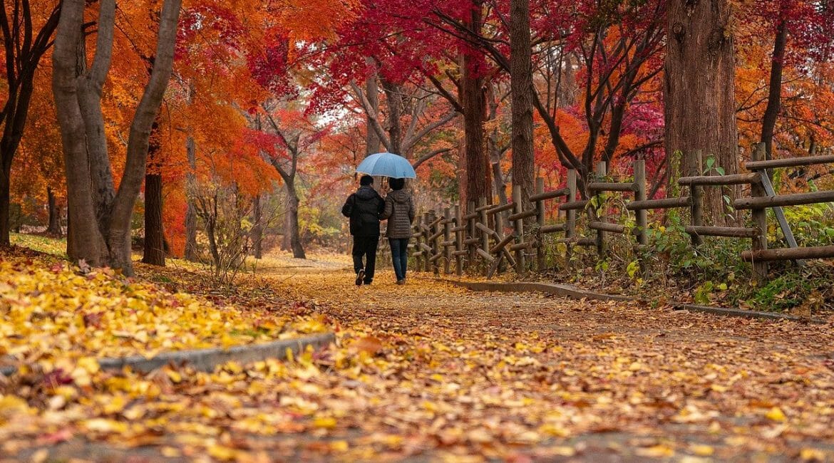 couple walking in park