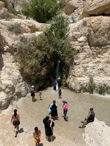 Ein Gedi