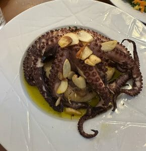 octopus