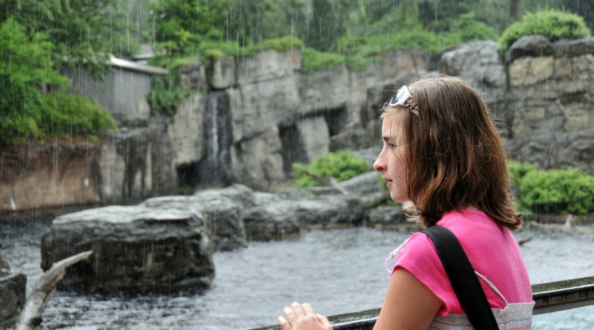 Central park zoo