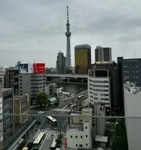 Tokyo City View