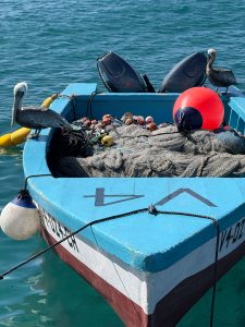 a boat in Nevis