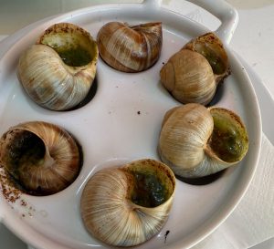 snails