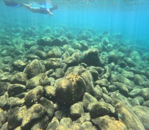 snorkeling 